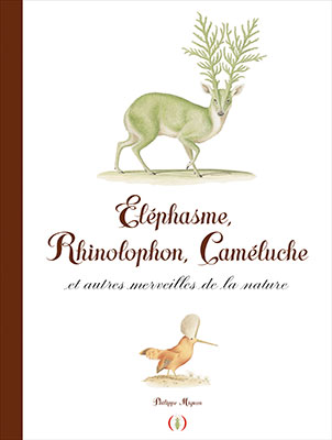 ELEPHASME_couv