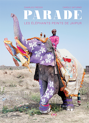 Parade : les éléphants peints de Jaipur