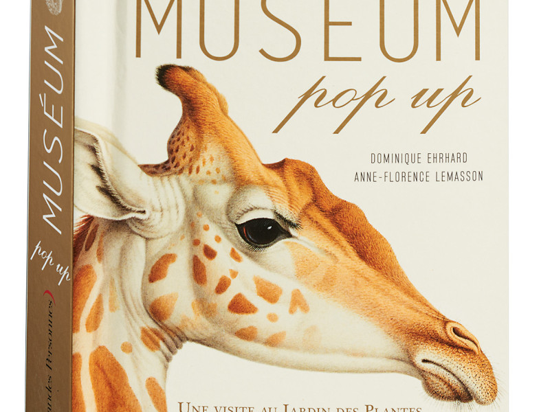 MUSÉUM-01COUV