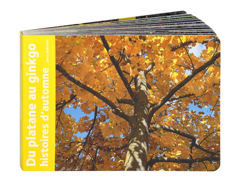 HISTOIRES D'AUTOMNE