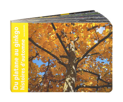 HISTOIRES D'AUTOMNE