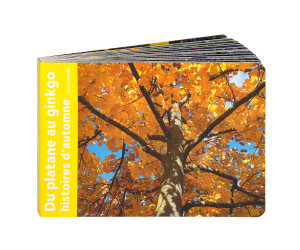 Du platane au gingko histoires d’automne