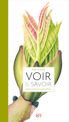 voir-et-savoir-réduit